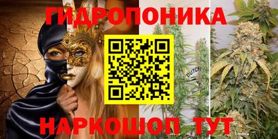 MDMA Premium VHQ Гай