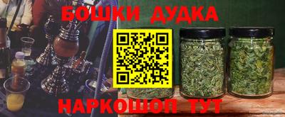 гидропоника Гатчина