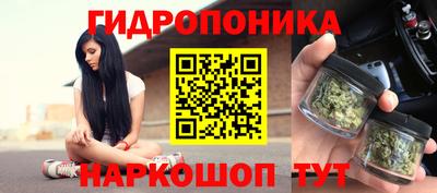 прущие крисы Гагарин