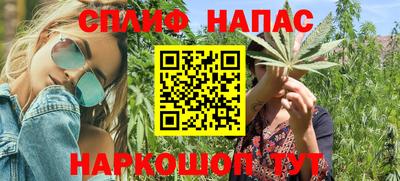 гидропоника Гатчина