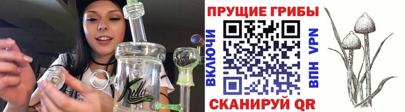 Галлюциногенные грибы ЛСД Заречный