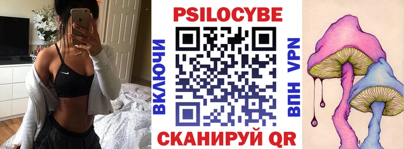 как найти закладки  Заречный  Псилоцибиновые грибы мухоморы 