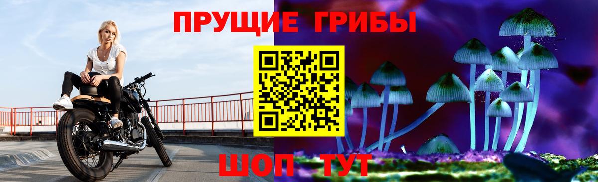 Заречный  купить наркоту  Вход с VPN  Псилоцибиновые грибы мухоморы 