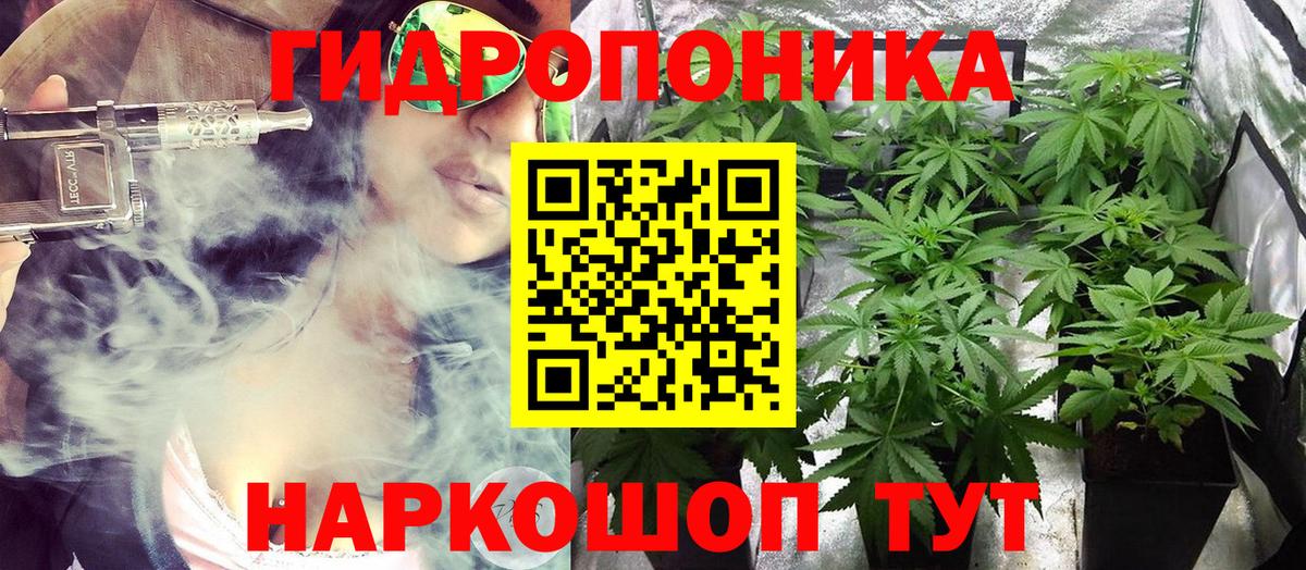 Бошки марихуана AK-47  Вход с VPN  Заречный  Канабис ГИДРОПОН  Конопля Amnesia 